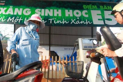 Tìm hiểu về xăng sinh học E5 